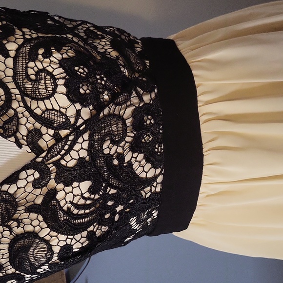 Fancy Black Lace Ivory Dress Sleeveless VNeck US 6 Back Zip - Picture 2 of 5